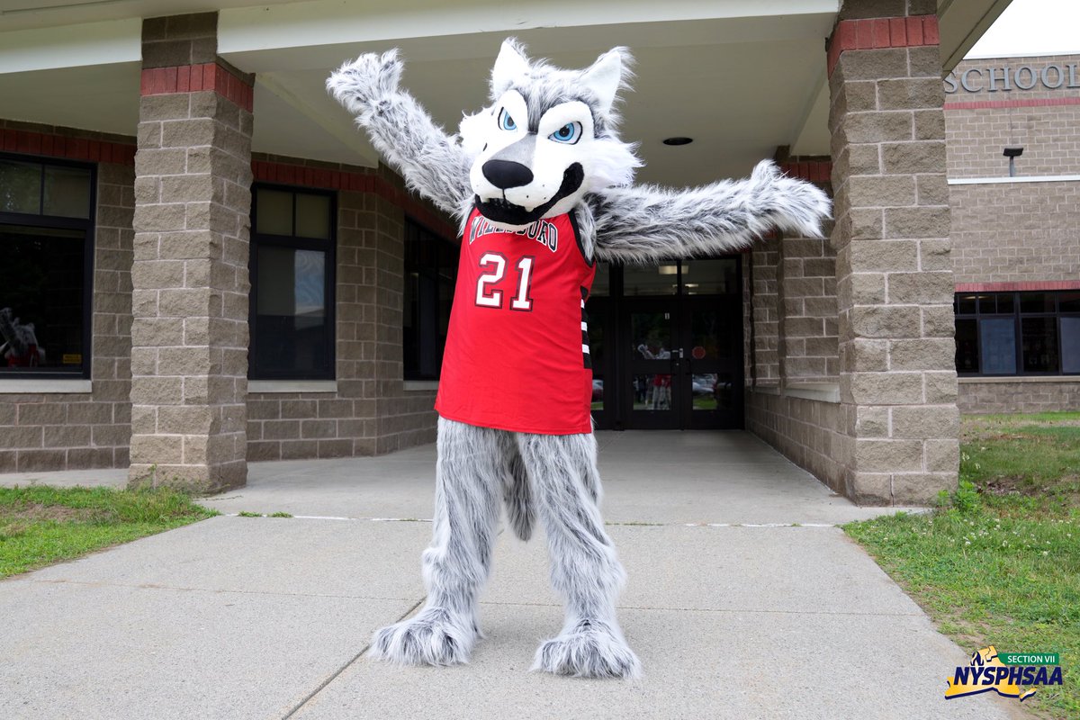 Section7Sports's tweet photo. Even though the sports scene in Section VII has gone into its quiet stage, Willsboro has some big news! Willsboro formally announced yesterday that their new mascot is the Wolves, and a new friend even stopped by to say hello in its new home! #SectionVII https://t.co/yHArN7h9yH