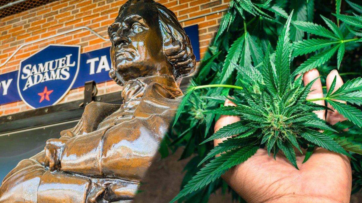 Cannabis MSO Green Thumb Seeks Merger with Sam Adams Brewer 😯 
tinyurl.com/253hjvyc
 #AlcoholicBeverages #BostonBeerCo #GTI #Business #Cannabis #Merger