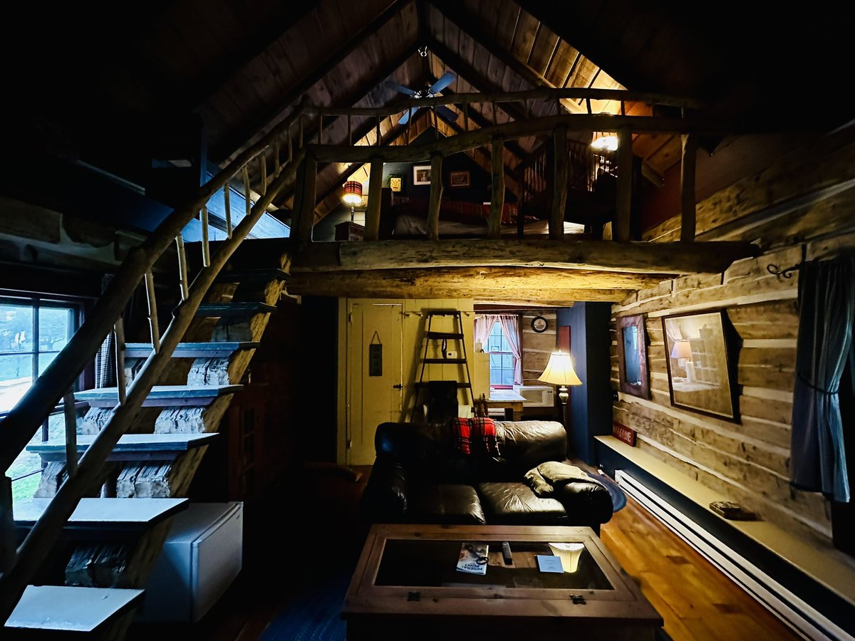 MARIAH HABERMAN tweet media