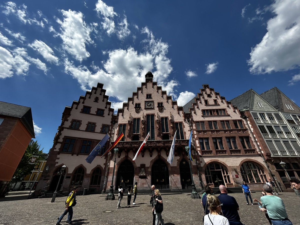 Free Lions tweet media