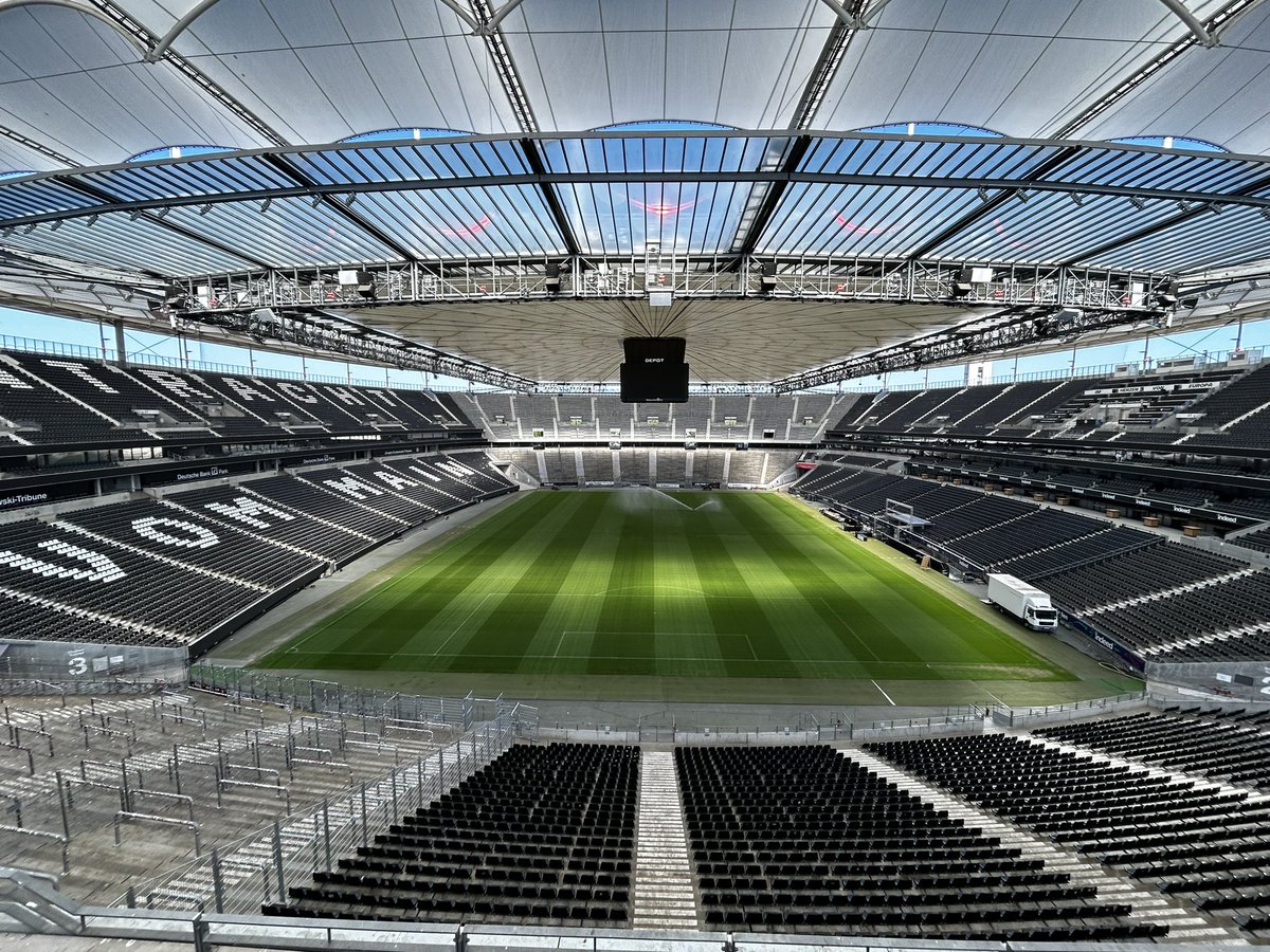 Free Lions tweet media