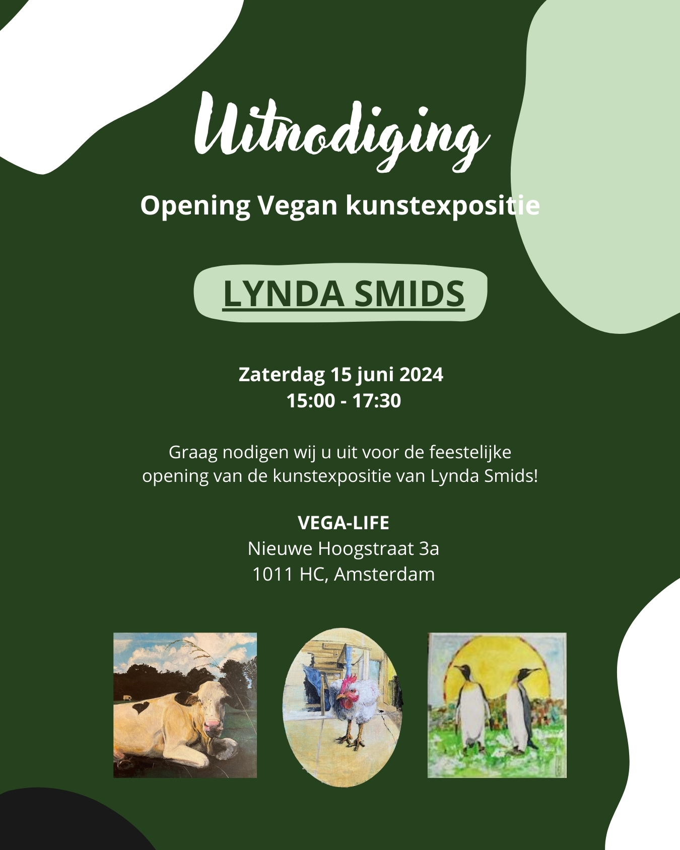 Vega life schoenen sale