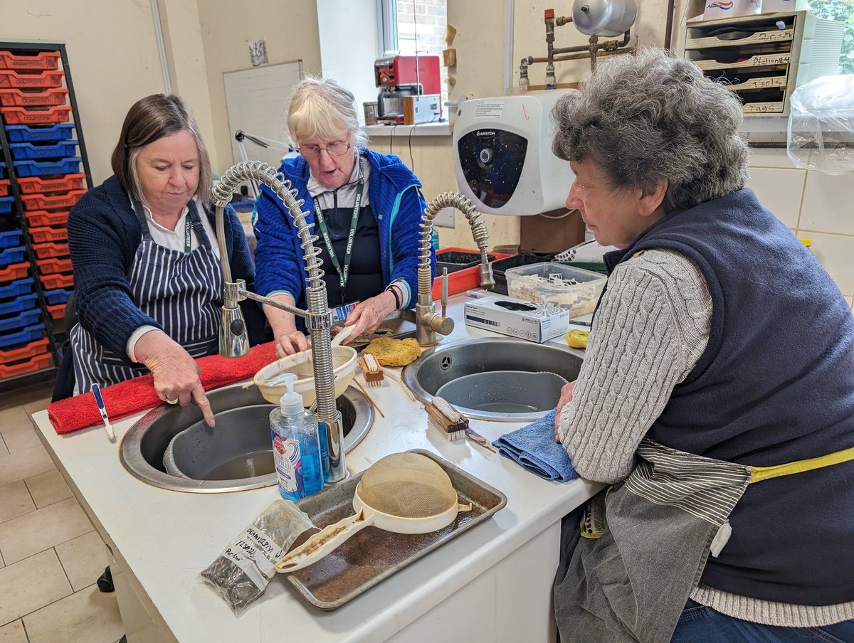 CotswoldArch's tweet image. Cheers! ☕ After a well-deserved cuppa, our volunteers continue helping with finds washing and marking in our Kemble office. Here's long-standing volunteer (and ex staff member), Sue, instructing others how to wash finds👌
#archaeology #artefacts #volunteer #Volunteering