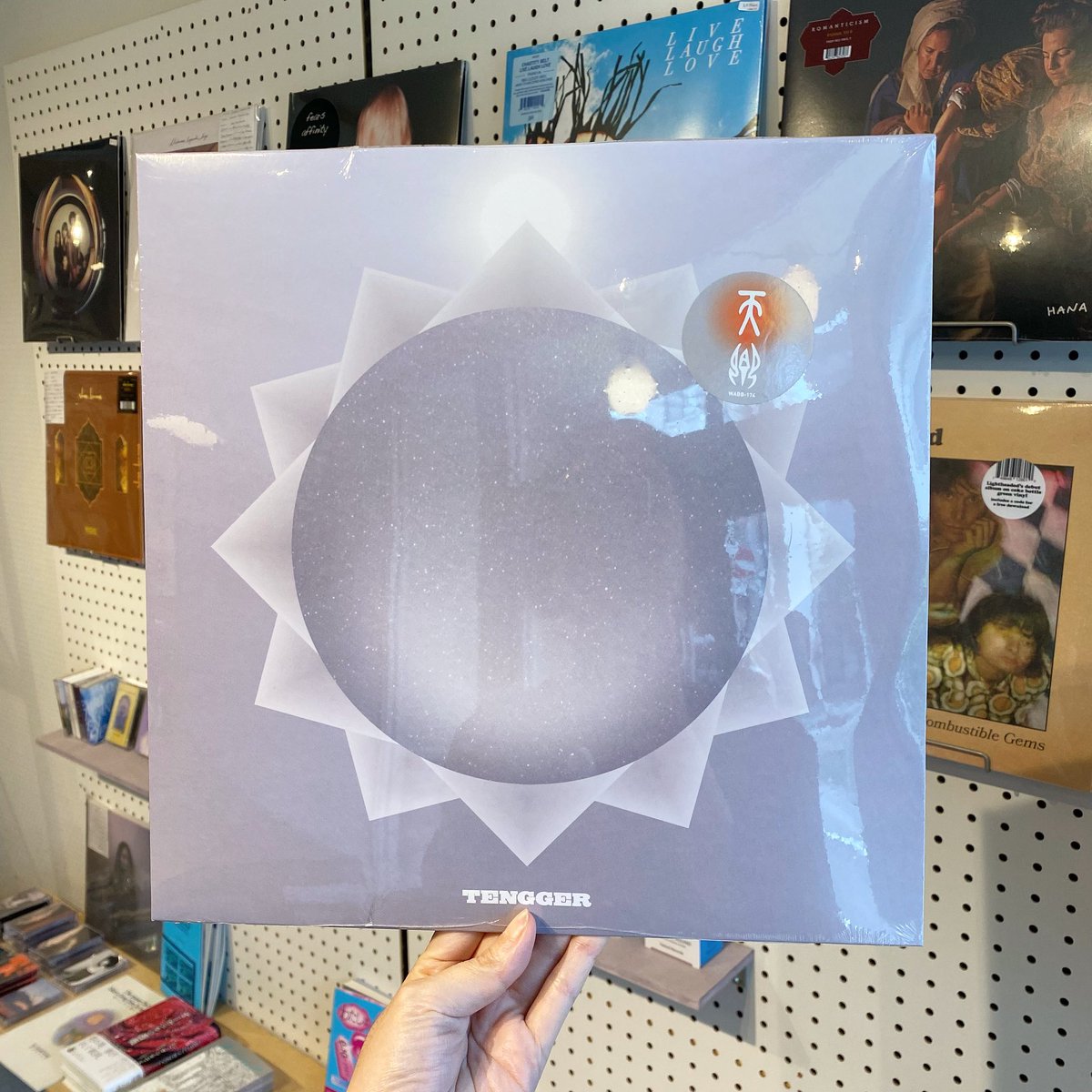 MARKINGRECORDS's tweet image. 韓国発の家族トリオTENGGER（텐거）の2023年作。半遊牧民のように暮らすかれらの音楽は、広大無辺でサイケデリックな感覚で貫かれたニューエイジ／ドローン音楽。アナログシンセやハルモニウムの音色と深いリバーブに包まれた歌が波紋を作り、時間軸を溶かすように広がります。shop.markingrecords.com/items/86878878