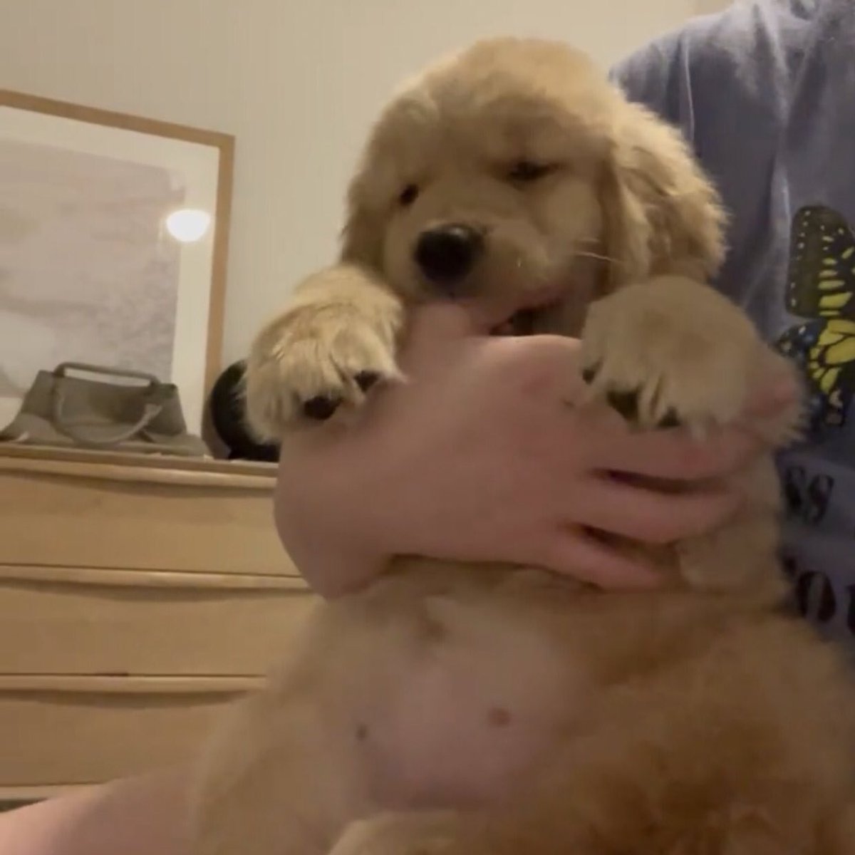 มะได้พุงเต่งนะคับ ขนฟุเฉยๆ