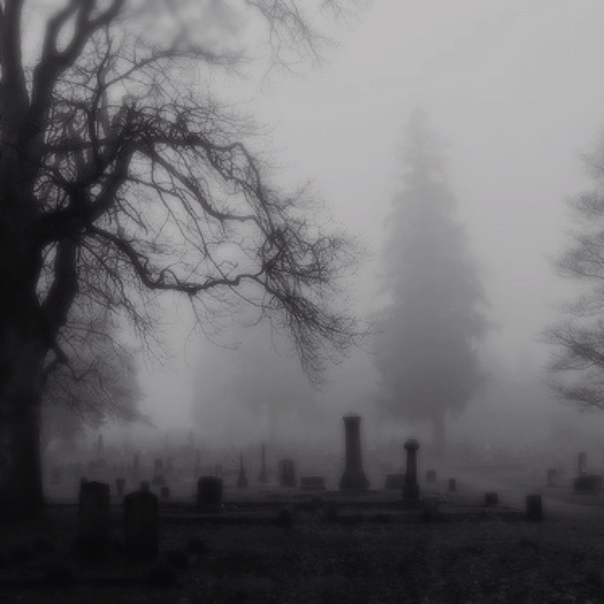 manicm0nster's tweet photo. Day Five for JaceLuke week, alternative universe. This is porn. Just thought I’d let you know. It’s streamed graveyard porn.

https://t.co/ikO00MffU1 https://t.co/j3IBdRd7DY