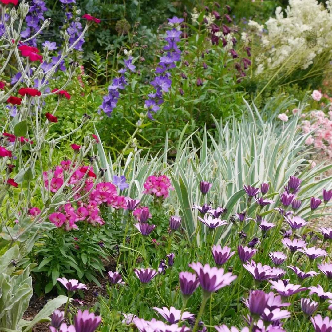 Link Age Southwark tweet media