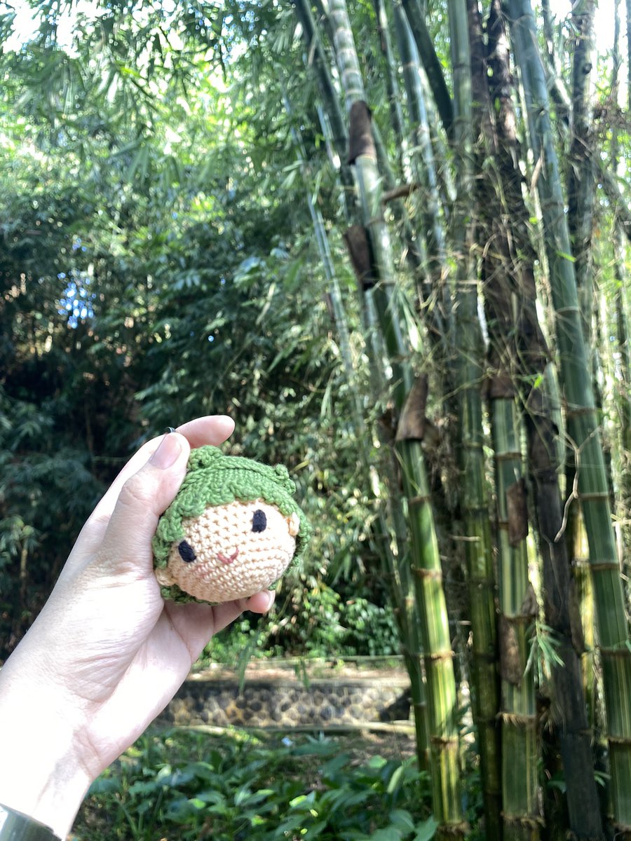 in case nanya papo dimana kenapa gak live stream, papo beneren dihutan ya