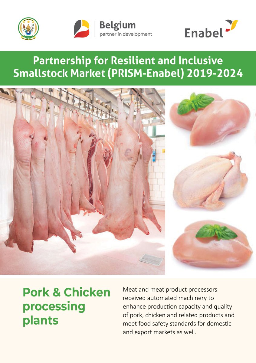 EnabelinRwanda's tweet photo. Belgium🇧🇪🤝🇷🇼Rwanda
Binyuze mu mushinga #PRISM uteza imbere ubworozi bw'amatungo magufi, Enabel ifatanyije na @RwandaIndustry na @BRDBank bafashije abatunganya ibikomoka ku 🐔 &amp; 🐖 kubona ibikoresho bibafasha kongera umusaruro n'ubwiza bw'ibyo bakora. @BelgiumRwanda
#ActForImpact https://t.co/RRlHWlLGUK