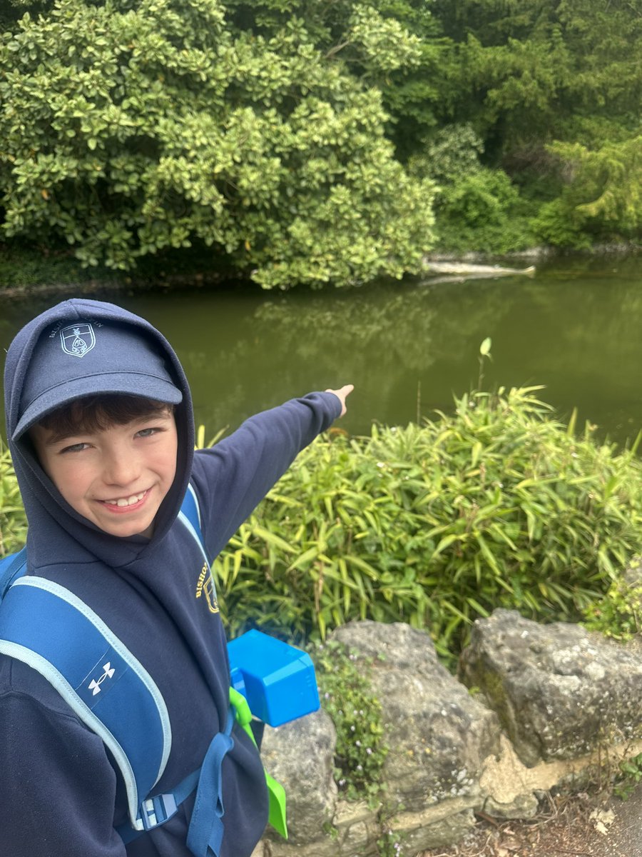 Ventnor, terrapins and “giant gold fish”