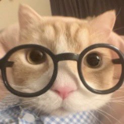 wtloverclub's tweet photo. 🧐🩷 https://t.co/Gam8pPcK4G