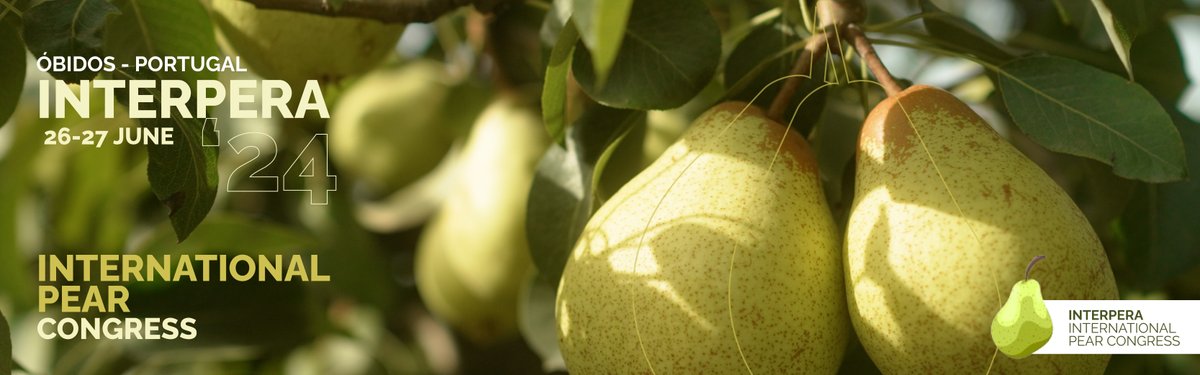 Interpera tweet media