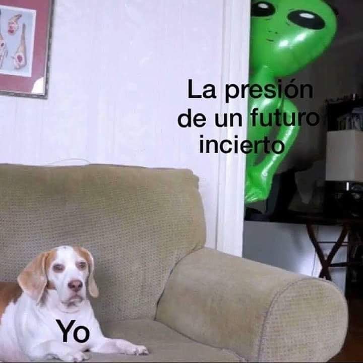 En Júpiter (@en_jupiter_) on Twitter photo 