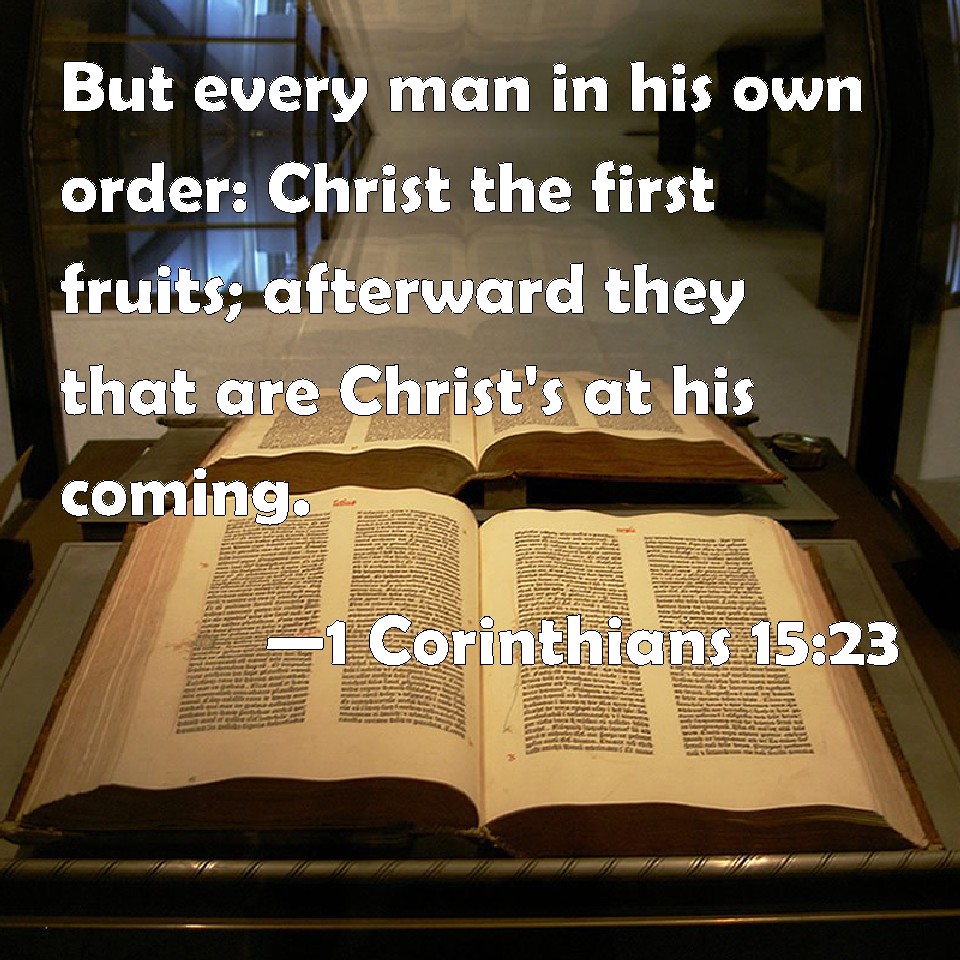 SonnySemme's tweet image. Because , as Paul and the Anointed ( Christ / Messiah ) , pointed out the #bodyofdeath , #oldwineskins , #kernelofwheat , must die and be raised . Until then Abba has provided the #Firstfruit as the #oneMediator . #FollowtheLeader