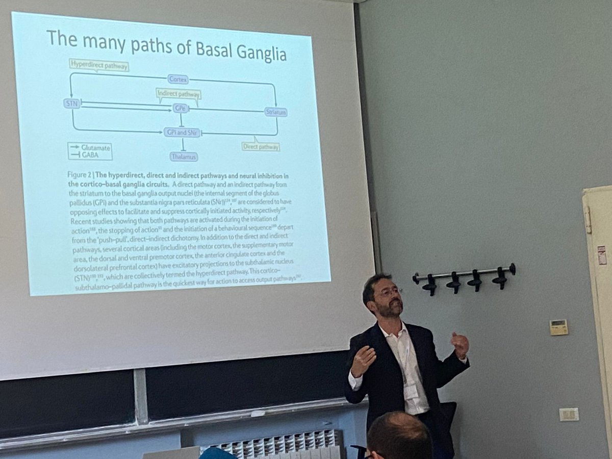 Deep brain stimulation: from serendipity to knowledge-driven neuromodulation - Alberto Mazzoni
