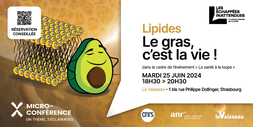 CNRS_Alsace's tweet image. Le gras, c’est la vie ! 🥑😋
De nos assiettes à nos cellules, le gras est partout, et il est essentiel à notre survie ! 1 des 2 thèmes #santé à découvrir :
📌@LeVaisseau67
🗓️ mardi 25 juin de 18h30 à 20h30
Réservez ! bit.ly/santeloupe
@AgenceRecherche #SAPSCNRS #ANR_AActus