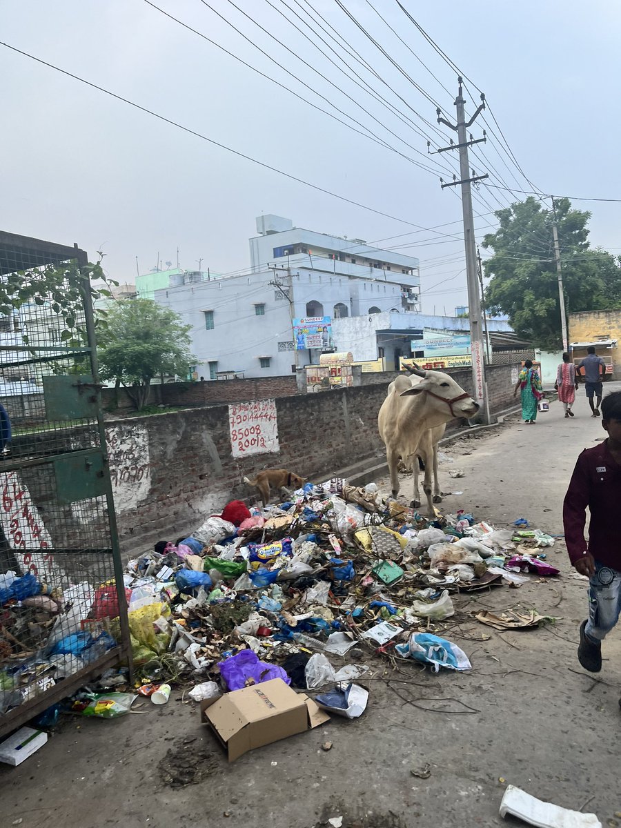 JayaCha96341524's tweet image. Hi @chrl_mplty ,
This is located in puvadavari vedi ,chirala opposite to old surya hospital road we are living beside this in appartment .people are continuously dumbing garbage on road and it is causing bad smell.please change garbage pot from here @swachhbharat @SwachhBharatGov