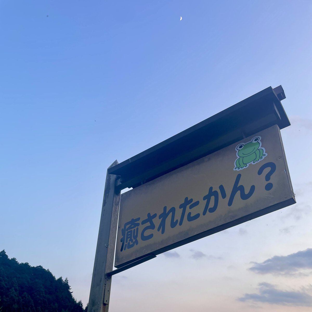 __iv_'s tweet photo. 田んぼとホタルを見てきた🌾 https://t.co/zg9yXnaJci