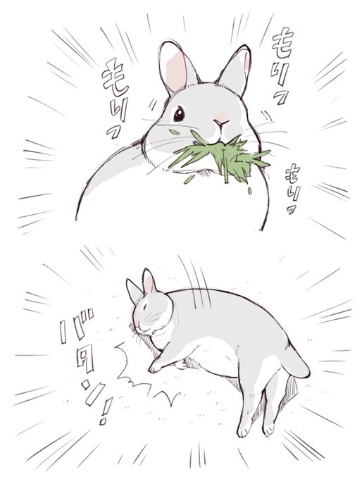ドカ食い気絶 