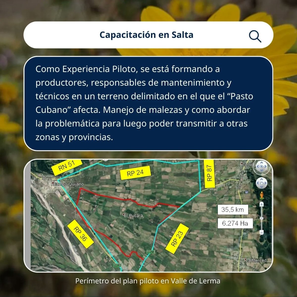 RedBPAs's tweet image. Desde las #BPAs el buen manejo de las herramientas para controlar malezas y plagas es uno de los objetivos primordiales.

#control #malezas #plagas #salta #noa #pastocubano #suelos