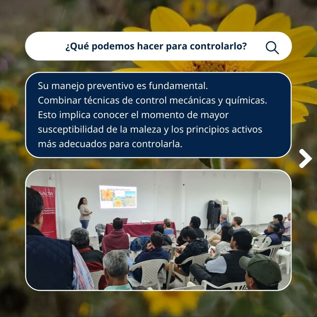 RedBPAs's tweet image. Desde las #BPAs el buen manejo de las herramientas para controlar malezas y plagas es uno de los objetivos primordiales.

#control #malezas #plagas #salta #noa #pastocubano #suelos