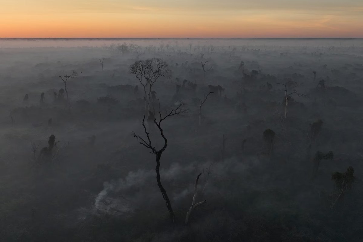 fire burns through vegetation in the pantanal, world's largest wetland
corumba, brazil