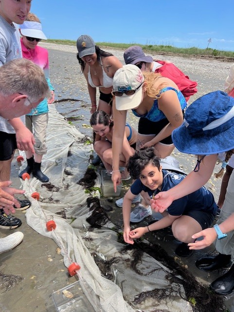 VIMS_DiveIn's tweet photo. Last week the latest cohort of participants in the VIMS REU (Research Experience for Undergraduates) program were at the VIMS Eastern Shore Lab in Wachapreague! This program offers students of all backgrounds a chance to engage in marine science. Looks like they had a blast! https://t.co/MnI6Nqir3C