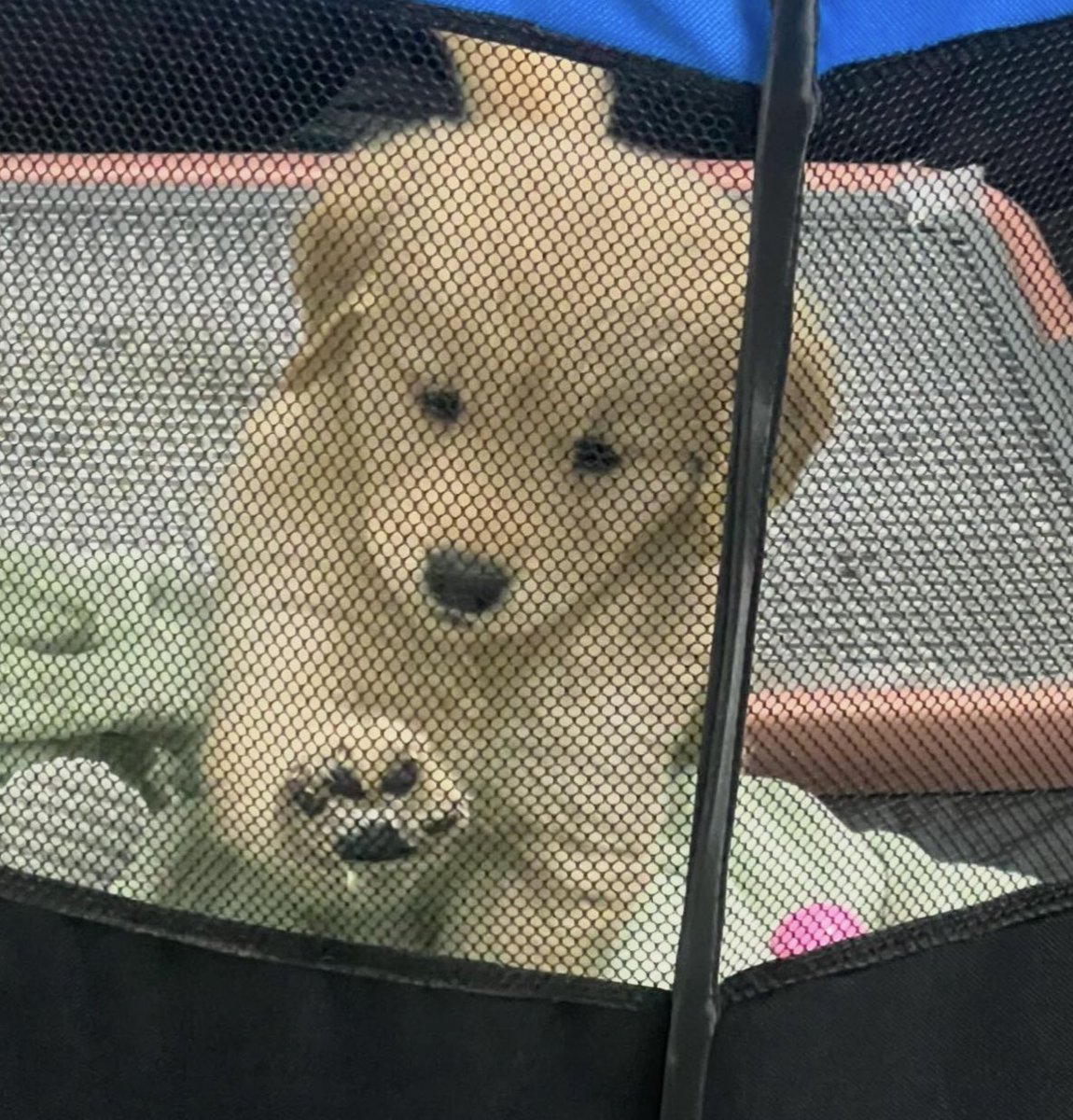 ไม่เคยได้เข้าไปในจัยเทอเลย ... สักนิบ