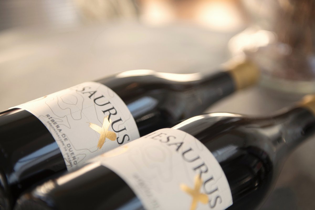 Thesaurus X es más que un vino, es una celebración de la vida 🗺️✨🍷