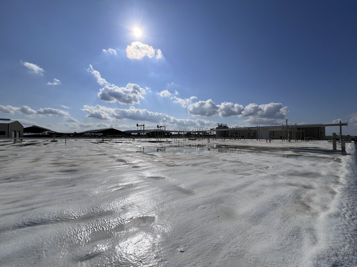 Avolta Development tweet media