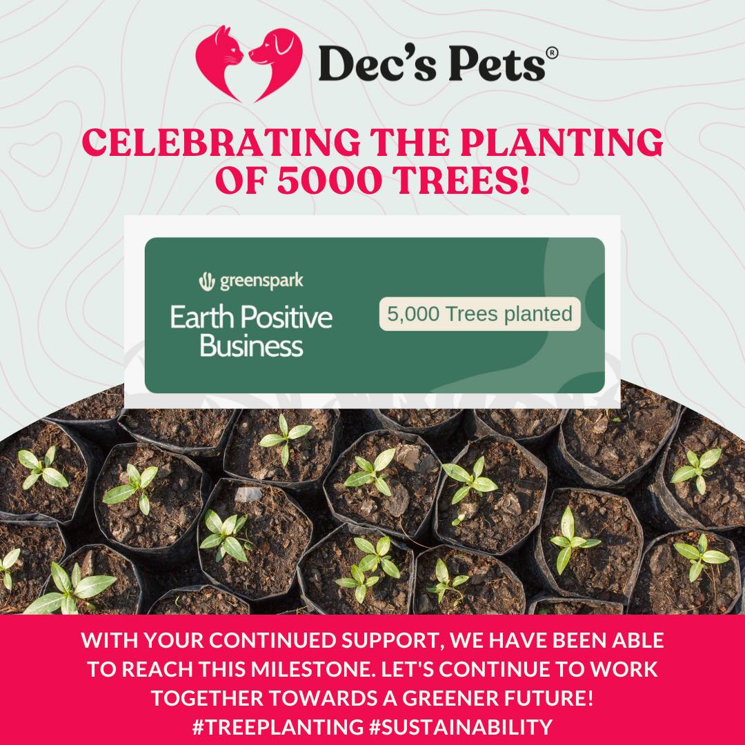 Decspets.ie (@decspets) on Twitter photo 🌍 Big Milestone Alert at Dec's Pets Ltd 🌱
WE HAVE PLANTED 5000 TREES!!!!!
We are thrilled to announce that, with our customers' support, we have achieved a significant milestone—planting 5,000 trees in partnership with <a href="/get_greenspark/">Greenspark</a> !
We couldn't be prouder of this ❤️ 🌍 Big Milestone Alert at Dec's Pets Ltd 🌱
WE HAVE PLANTED 5000 TREES!!!!!
We are thrilled to announce that, with our customers' support, we have achieved a significant milestone—planting 5,000 trees in partnership with <a href="/get_greenspark/">Greenspark</a> !
We couldn't be prouder of this ❤️