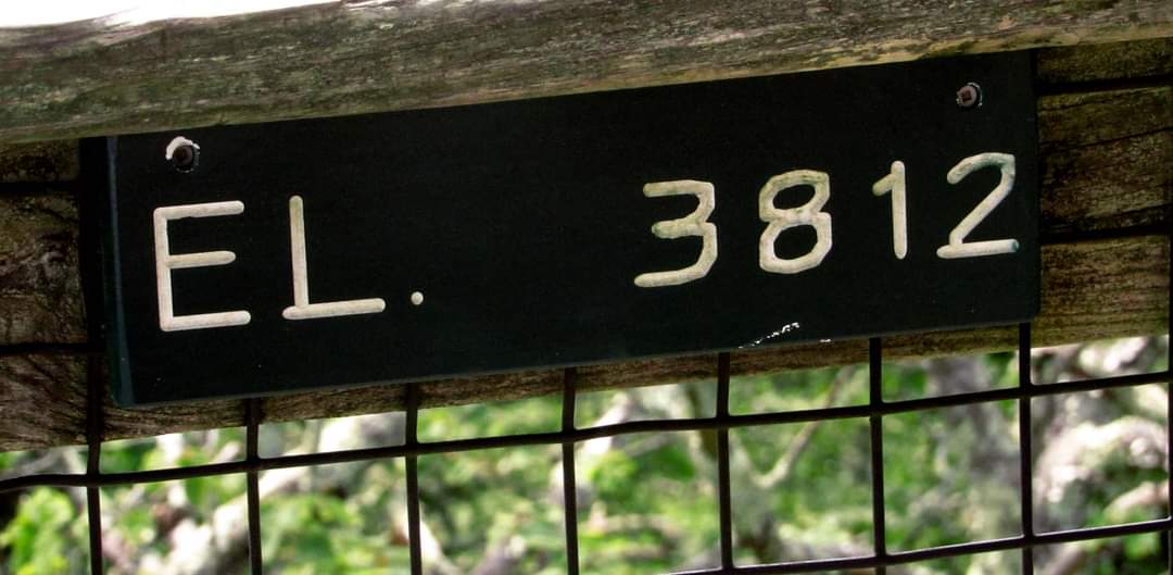 Dawn20222's tweet photo. Hanging Rock Raptor Observatory. People visit here quite often to perchance see their favorite #birds in migration. #explorewv #birdwatching https://t.co/rnP1YASsuL
