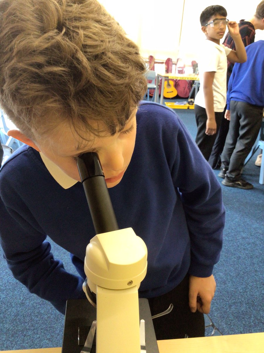 smaaanews's tweet photo. Year 4 have had a fantastic afternoon investigating a crime scene using scientific equipment. WHO STOLE THE CHOCOLATE?!? #smaaascience #snapscience @uptonhallfcj https://t.co/gRb1hjW4Es