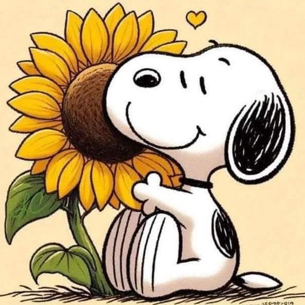 88_dayi's tweet photo. #NuevaFotoDePerfil https://t.co/uclc6Kh25n