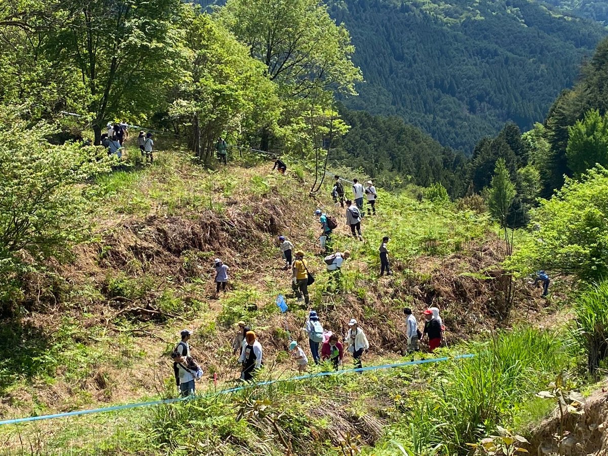 stream_trail's tweet photo. 先月は大勢で捜索したけど見つからず。　ツチノコ求めて何処へでも。　ストリームー探検隊。
#月刊ムー
#ストリームー探検隊 
#ツチノコ https://t.co/iN9pEwomQl