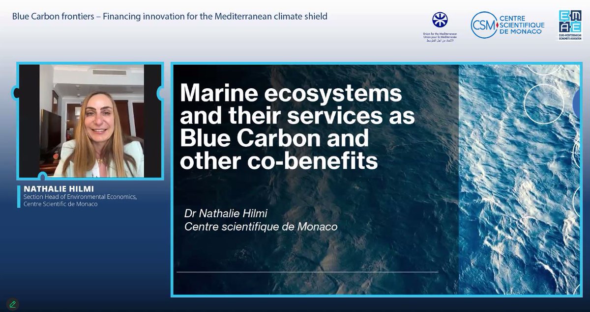 First speaker of the <a href="/EMEAorg/">Euro-Mediterranean Economists Association - EMEA</a> webinar “Blue Carbon frontiers” is Dr <a href="/HilmiNathalie/">Hilmi Nathalie</a>, Section Head of Environmental Economics, Centre Scientifique de Monaco &amp; EMEA Advisor