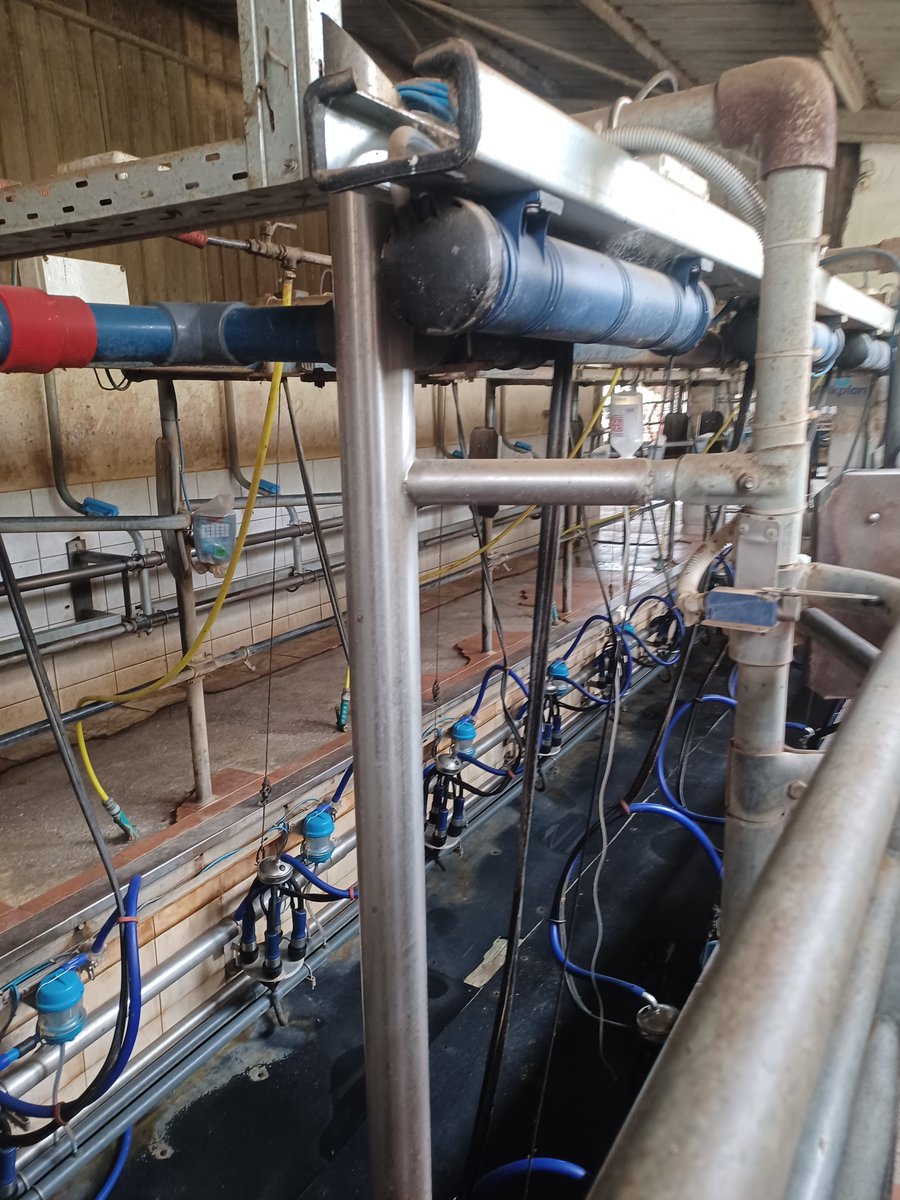 Traite_Idele's tweet photo. Et pour finir notre voyage d'étude en Grèce, visite d'une exploitation bovine, en #traite conventionnelle avec projet de 4 robots de #traite
@InstitutElevage #cofit https://t.co/rhajrfZ8VO