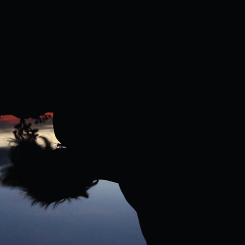 Adam Russell tweet media