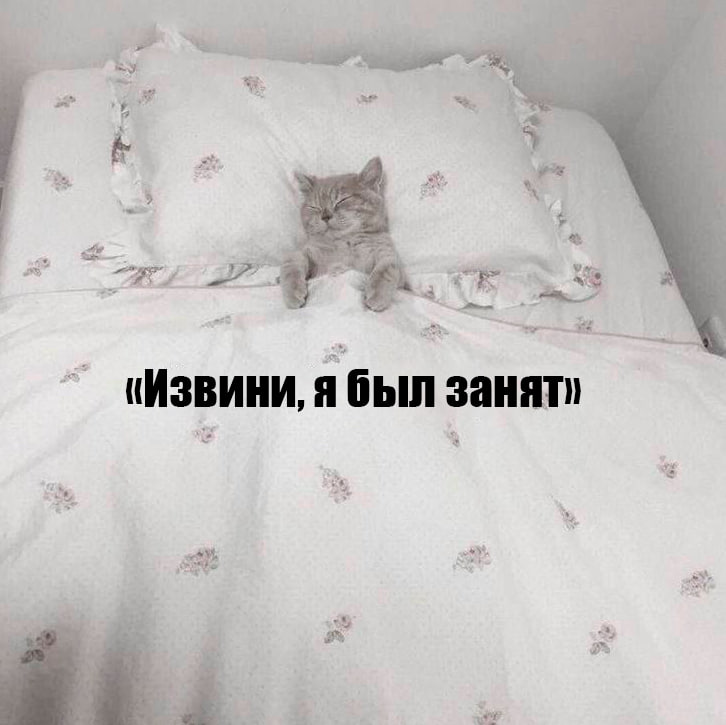 «Sorry, I was busy»