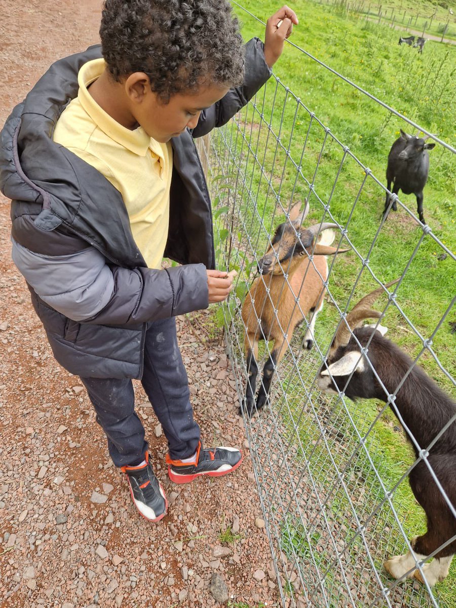 BroomleaPrimary's tweet photo. Tay Class have been learning about people who help animals. They had a fabulous time at Clyde Valley Family Park yesterday. More photos to follow. #DYW #ContextualisedLearning https://t.co/GmIP8TS2e3