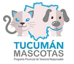 LV12TUC's tweet photo. ➡️🟠 #LaMañanaDeLa12  
@FlorenRochh , responsable del Programa Tucumán Mascotas
"renovamos el compromiso de seguir trabajando con todo el interior de la provincia, con la capital y además, como nos pide el Gobernador, con las instituciones rescatistas" https://t.co/wU3Ssicknp