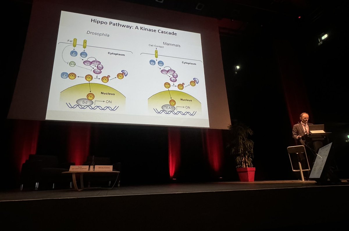 ISHR European Section (@ishr_es) on Twitter photo Impressive talk by Jim Martin at the <a href="/ISHR_ES/">ISHR European Section</a> about cardiomyocyte proliferation during heart regeneration. Impressive talk by Jim Martin at the <a href="/ISHR_ES/">ISHR European Section</a> about cardiomyocyte proliferation during heart regeneration.