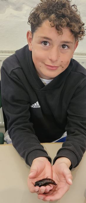 Furze_Platt's tweet photo. Latest update from Wales where our Year 8 students have learned about sustainable protein and were treated to cricket burgers and mealworm pakoras! #FPSS #achieve https://t.co/RaY63uhuvm