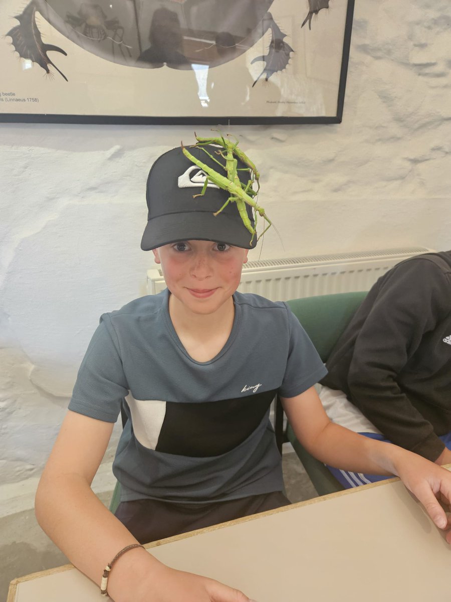 Furze_Platt's tweet photo. Latest update from Wales where our Year 8 students have learned about sustainable protein and were treated to cricket burgers and mealworm pakoras! #FPSS #achieve https://t.co/RaY63uhuvm
