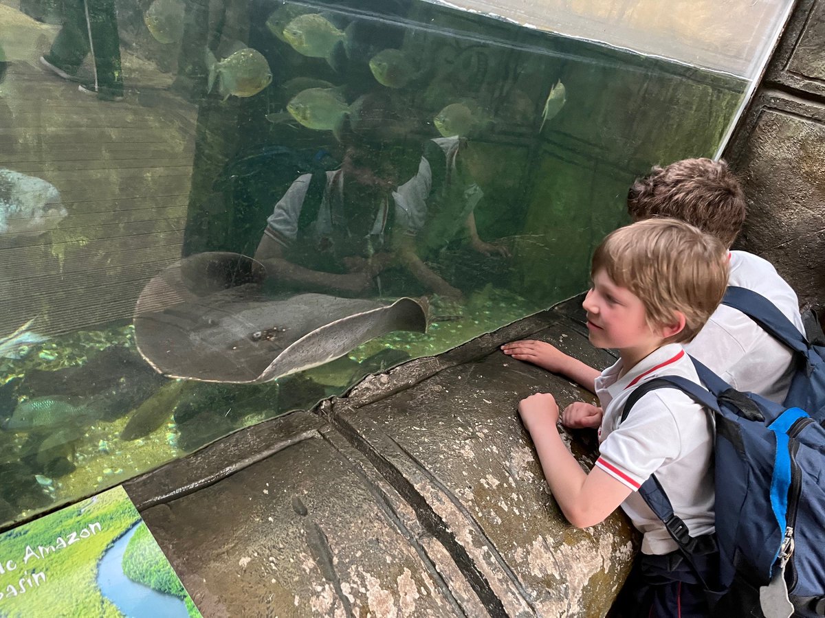 Highfield Prep Hlc tweet media