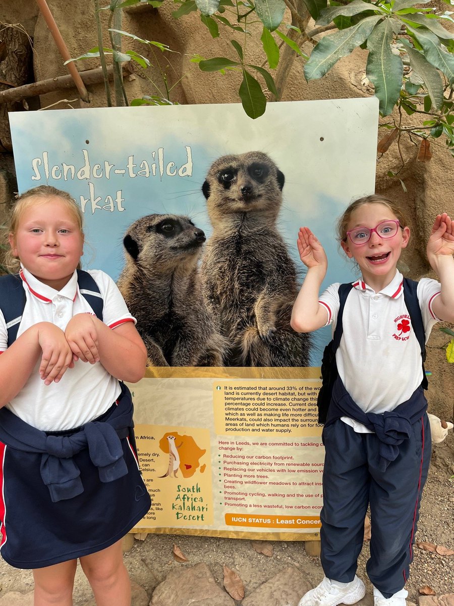 Highfield Prep Hlc tweet media