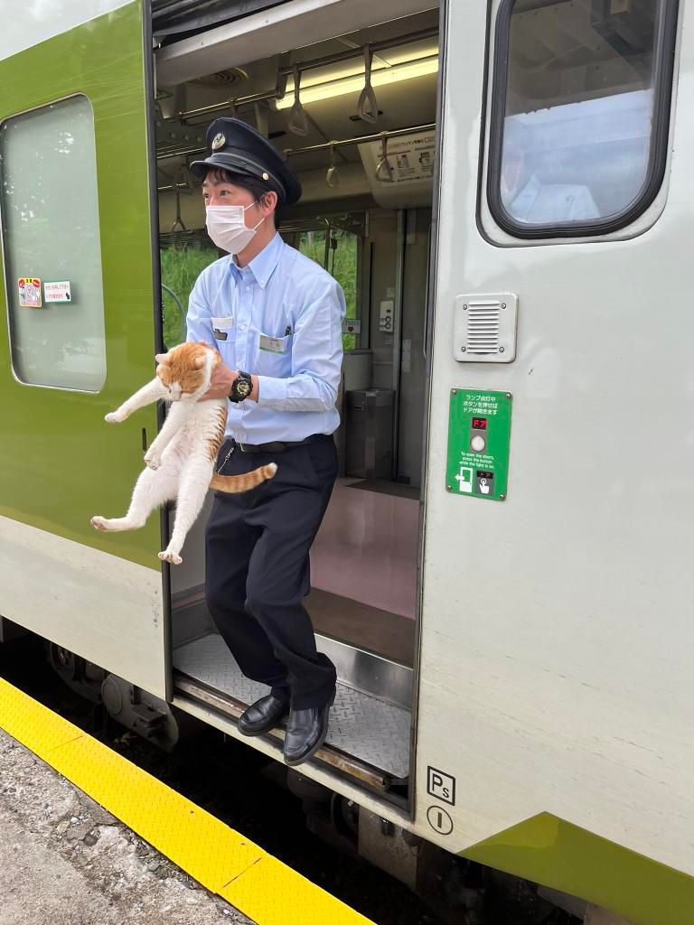 PostsOfCats's tweet photo. No ticket? No ride https://t.co/YHs7f9aryQ