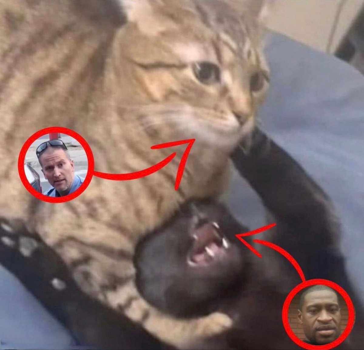 Gigachad Brick - KOROKS TOOK MY TREN (@fuckkoroks) on Twitter photo 