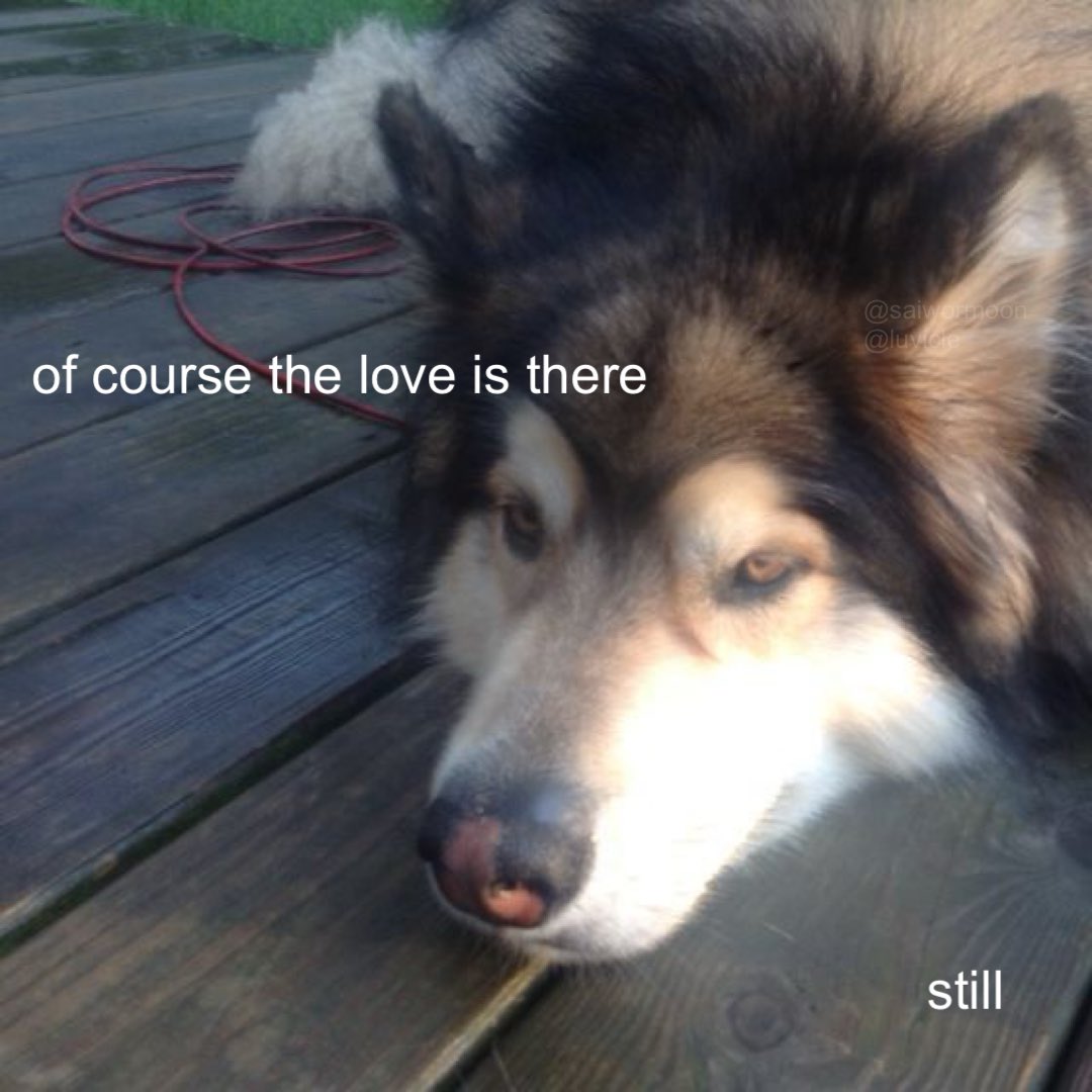 luvicle (@saiwormoon) on Twitter photo 