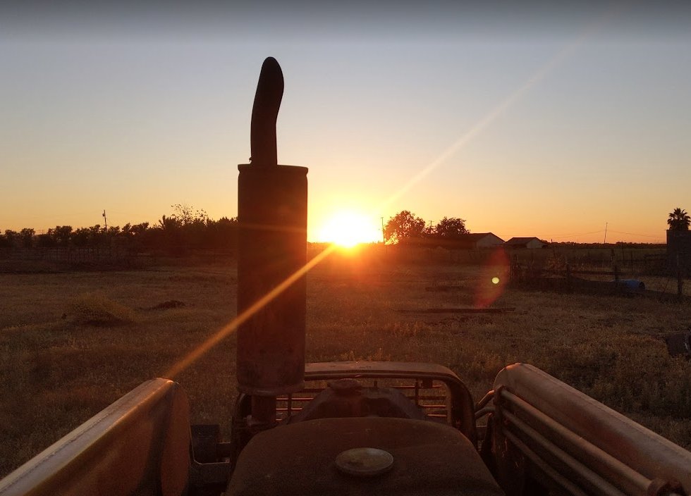 CurlyChimera's tweet image. at the #endoftheday #farmlyfe